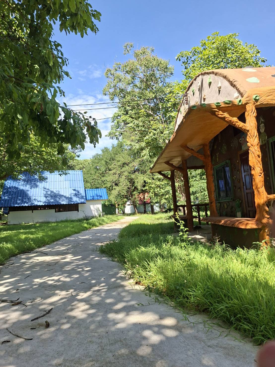camp_20260702_542ce02de200.jpg