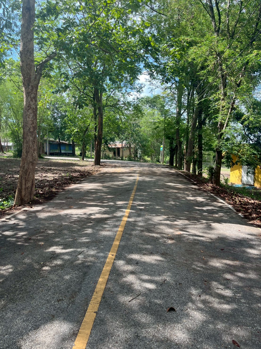 camp_20260610_9059ea805453.jpg